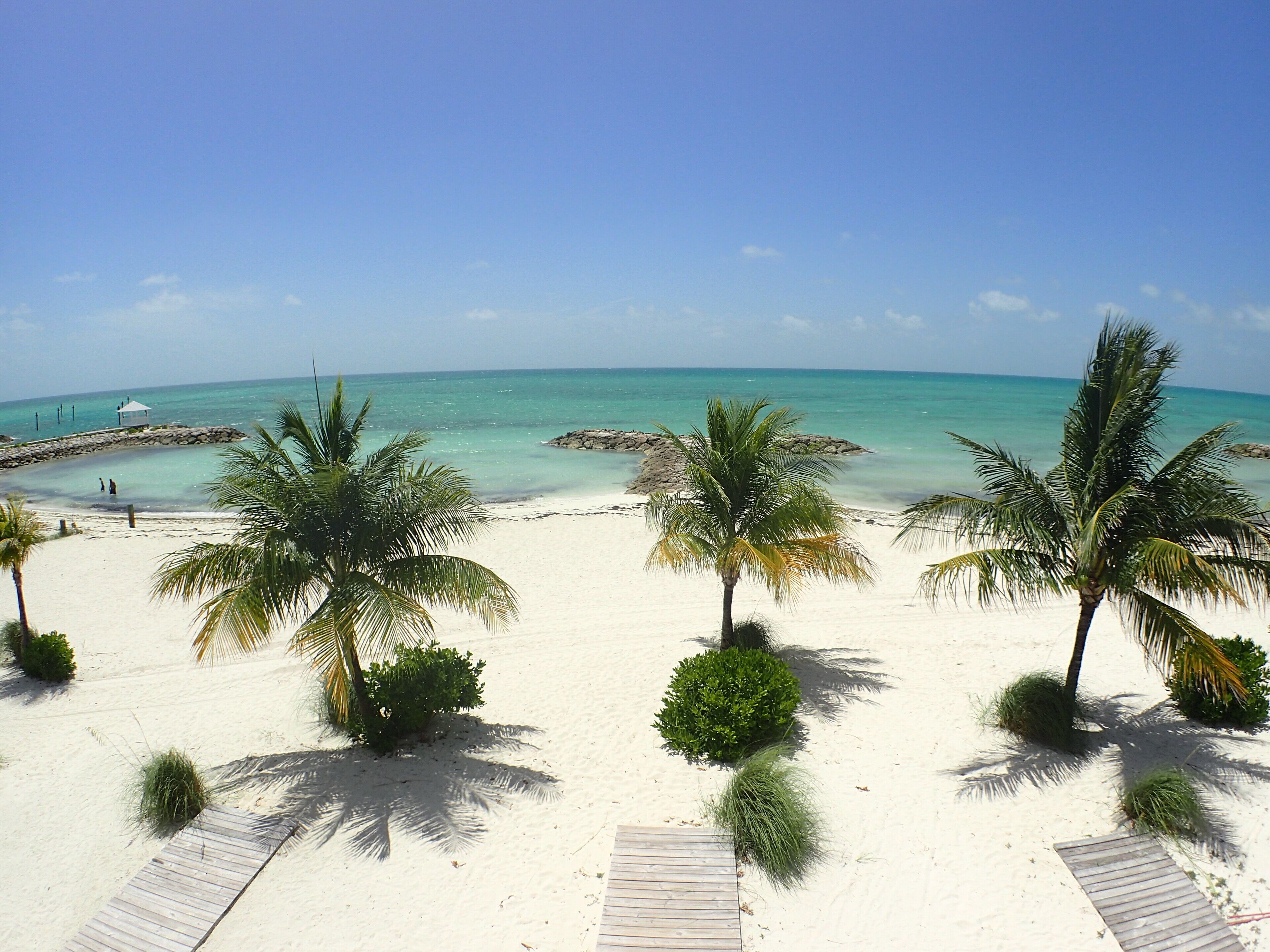 A beach with palm trees and a wooden walkway.