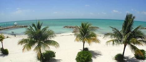 A beach with palm trees and a wooden walkway.
