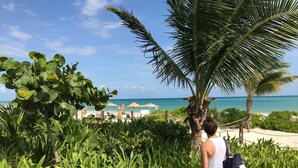 Vista de la playa con una palmera, sillas de descanso y cielo azul despejado.