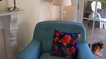 TV, lareira, DVD player, livros