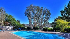 Una piscina con borde de baldosas, rodeada de árboles y un cielo azul despejado.