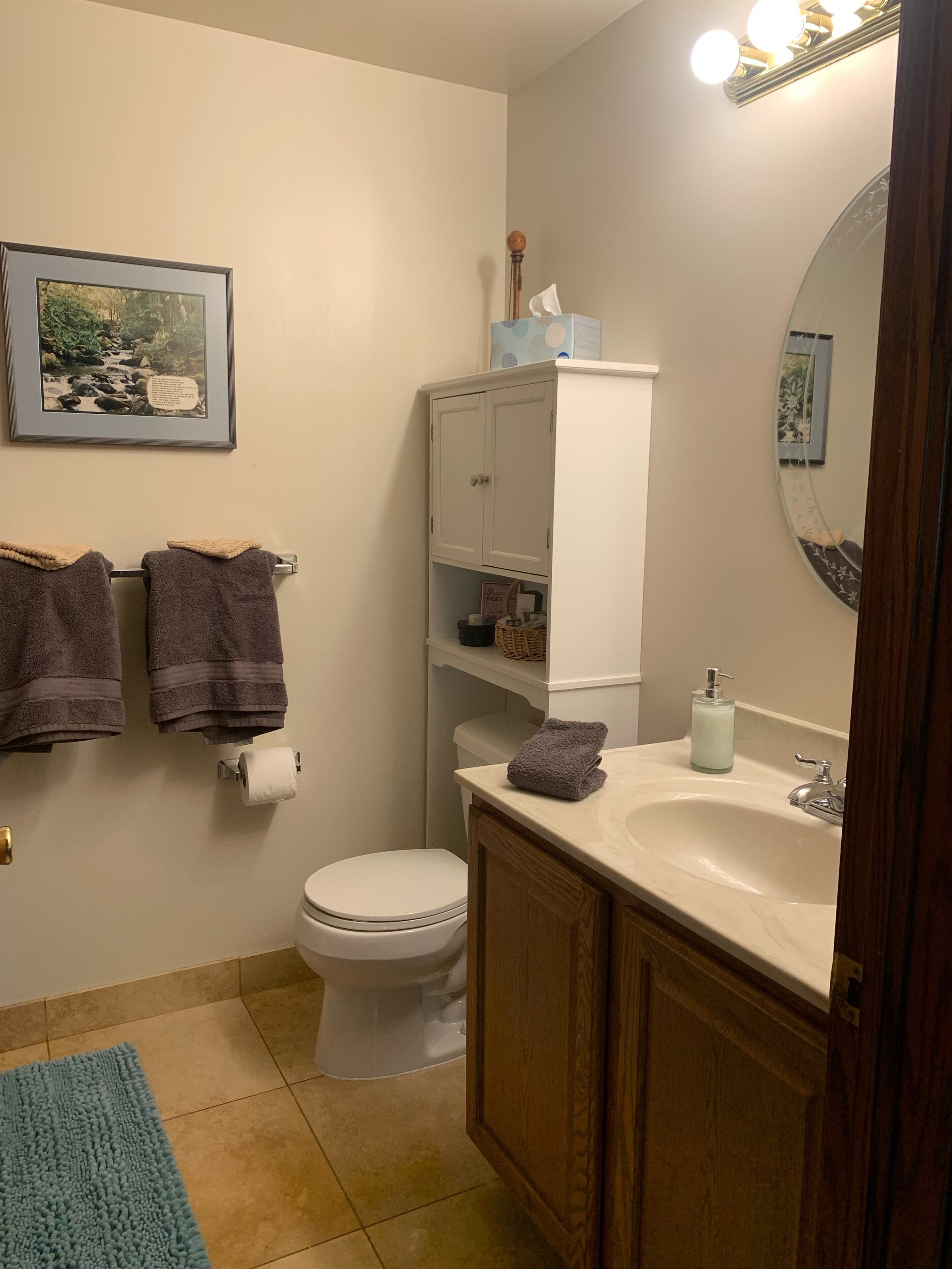 Chuveiro, secador de cabelo, toalhas de banho 