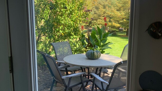 Een terras met een tafel en stoelen, een bloempot en uitzicht op een tuin en bomen.