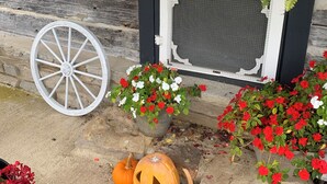 Une porte en bois munie d’une moustiquaire, une brouette blanche et des plantes en pot ornées de fleurs rouges et blanches.