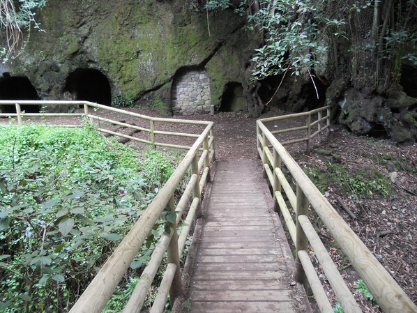 Àrea exterior de l'allotjament