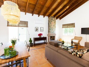 TV, fireplace