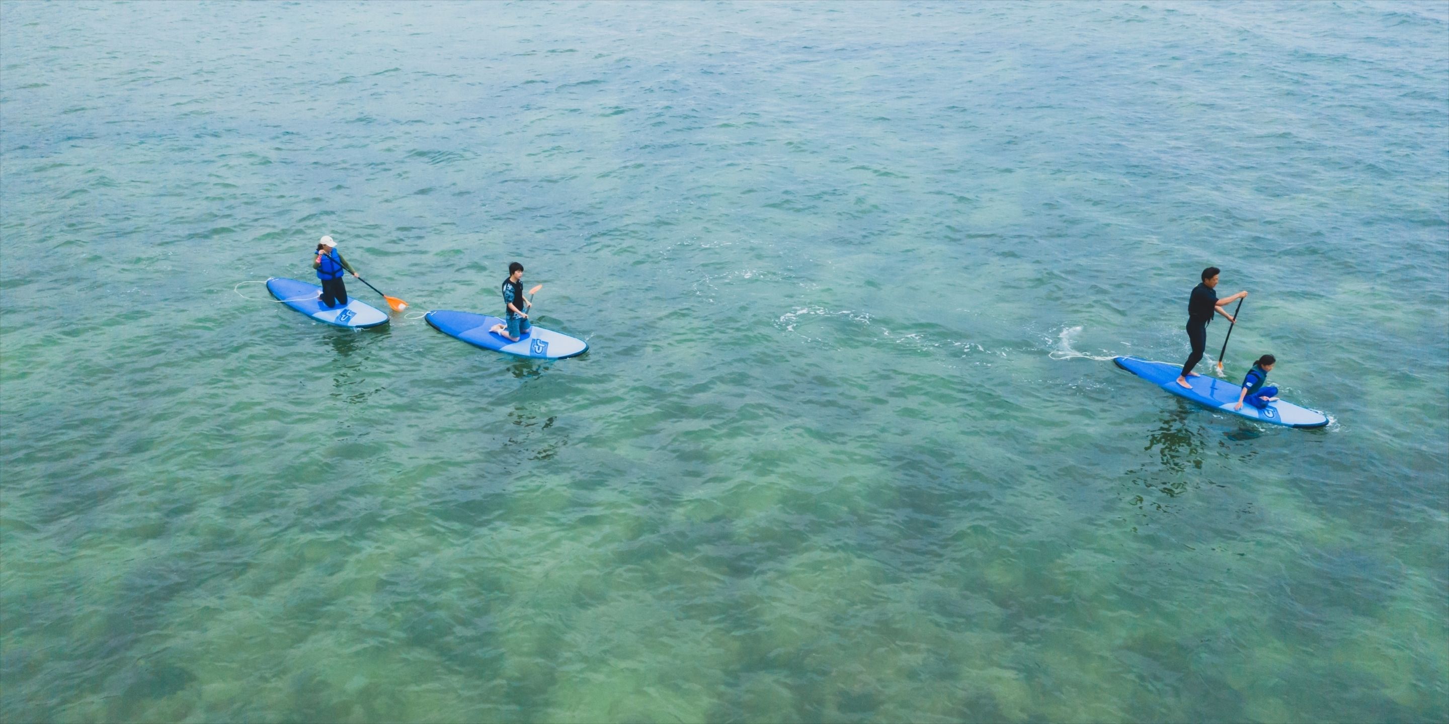 Four people on paddleboards in a body of water.