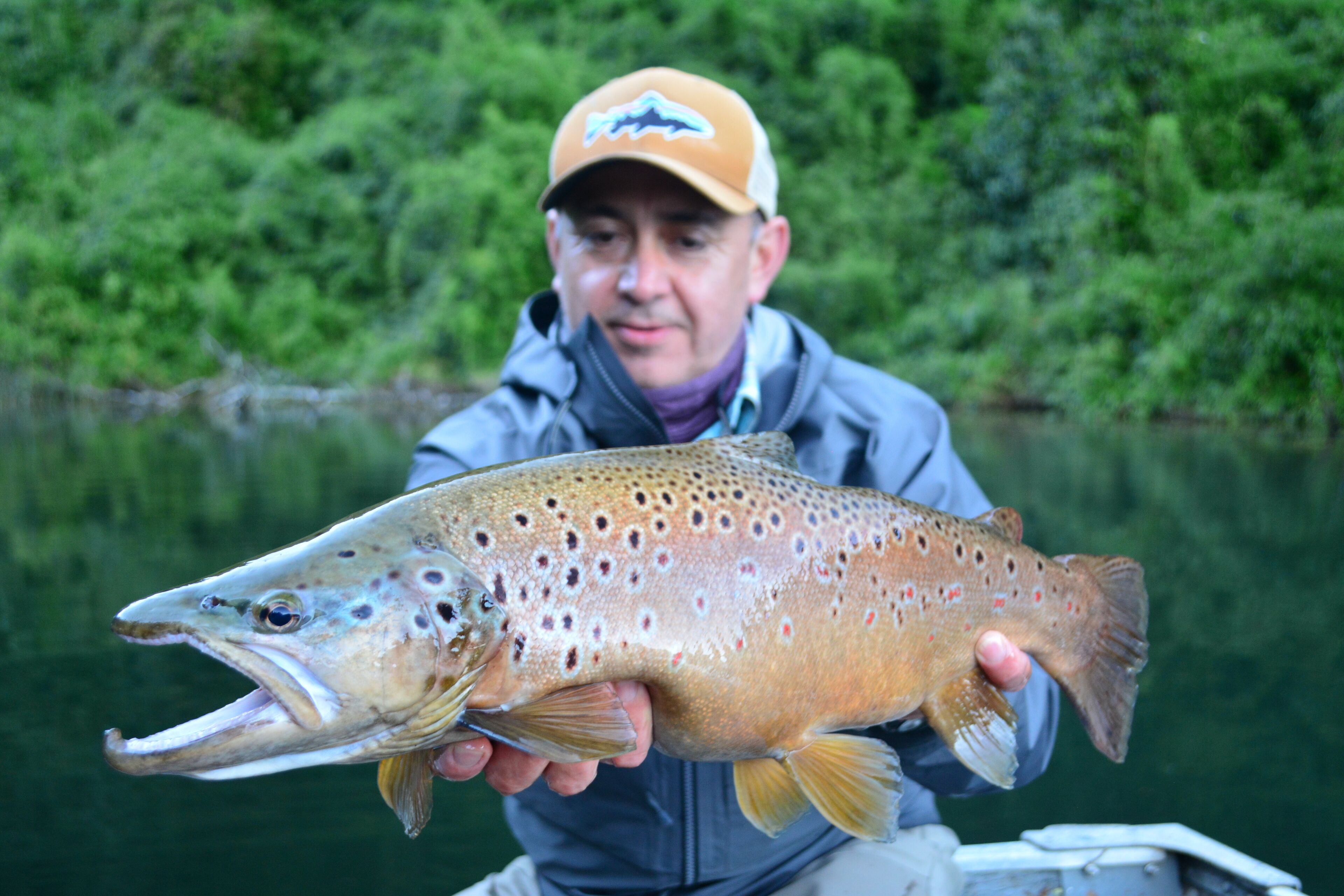 Fiske