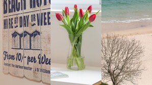 A beach-themed sign with a beach hut illustration, a glass vase with red tulips, and a tree by the beach.