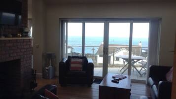 Smart TV, fireplace, books