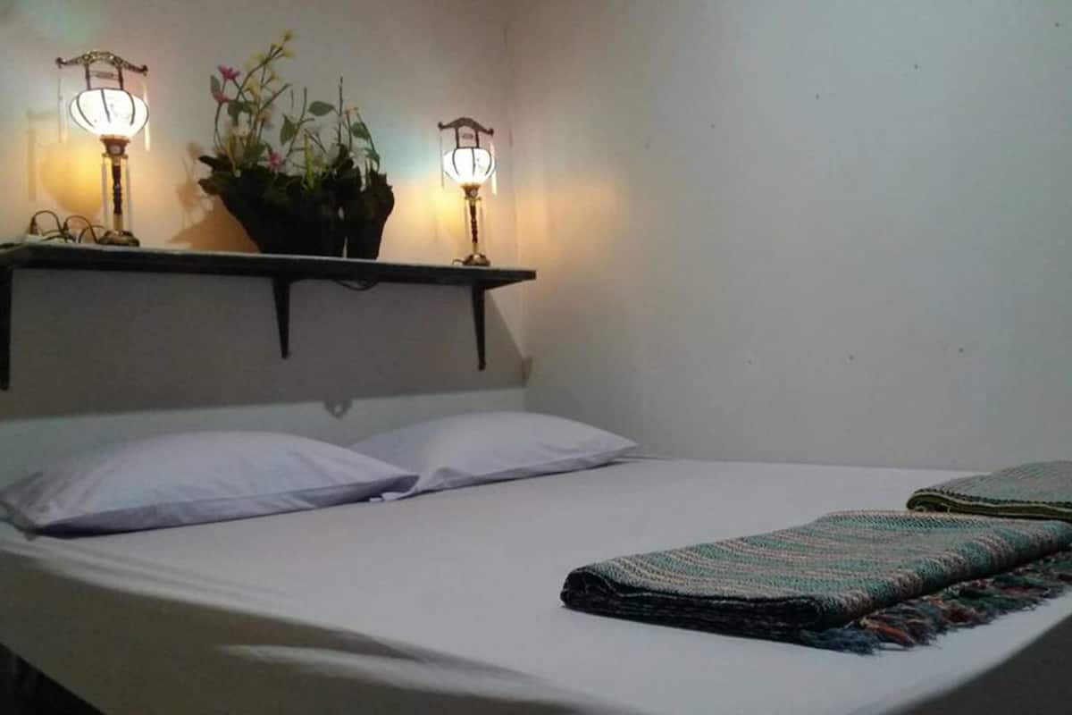 A bed with white linens, two bedside lamps, a potted plant, and a folded blanket on the bed.