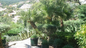 Ein Garten mit verschiedenen Pflanzen und einem Kiesweg.