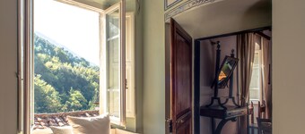 Oldtids luksuriøs oljefabrikk