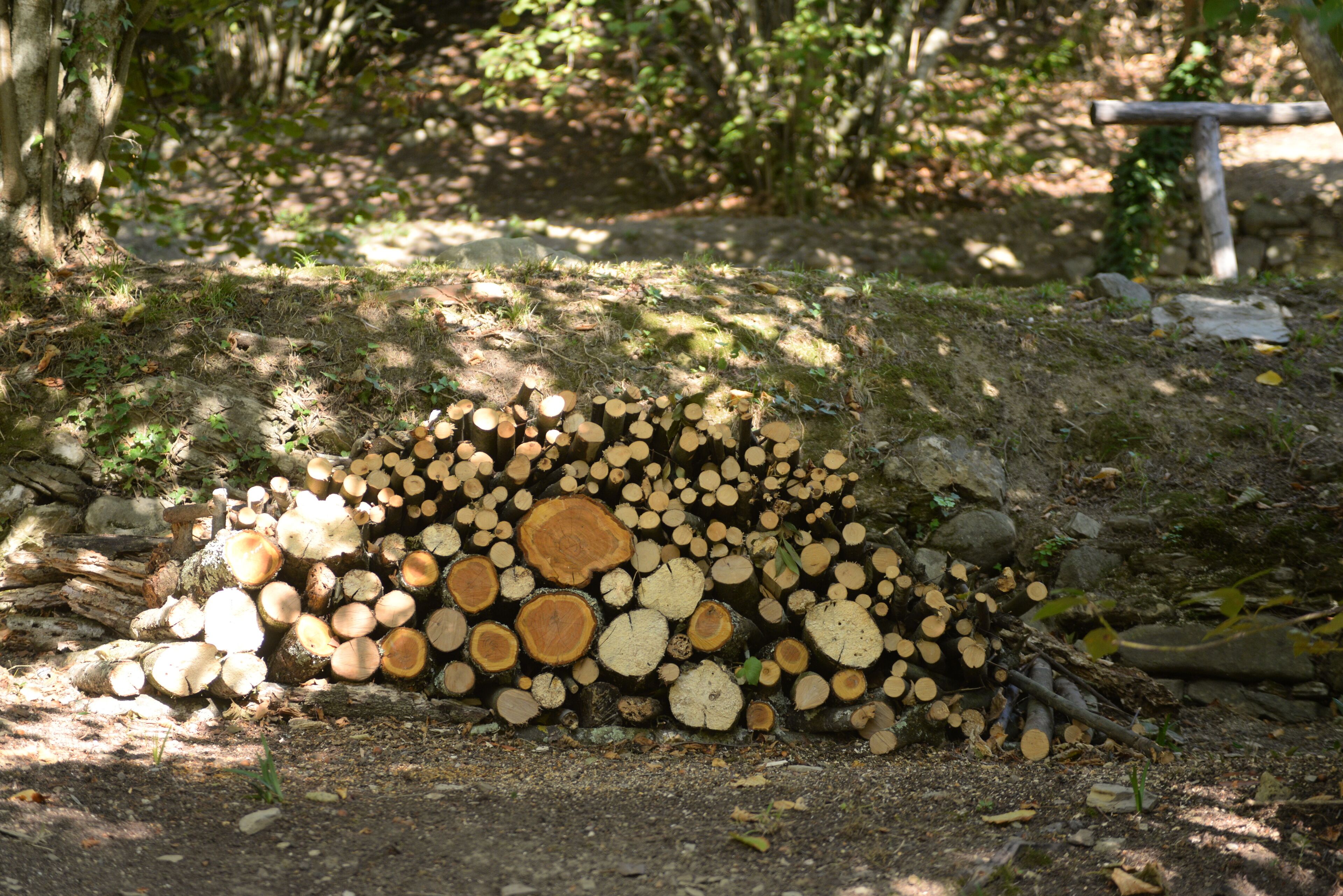 A stack of cut logs in a forested area with a stone bench in the background.