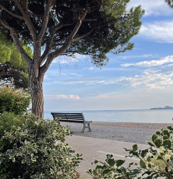 A bench by a pebble beach with a tree and greenery in the foreground.