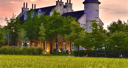 Chateau de france