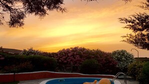 A swimming pool with a sunset view, surrounded by flowering bushes and a red wall.