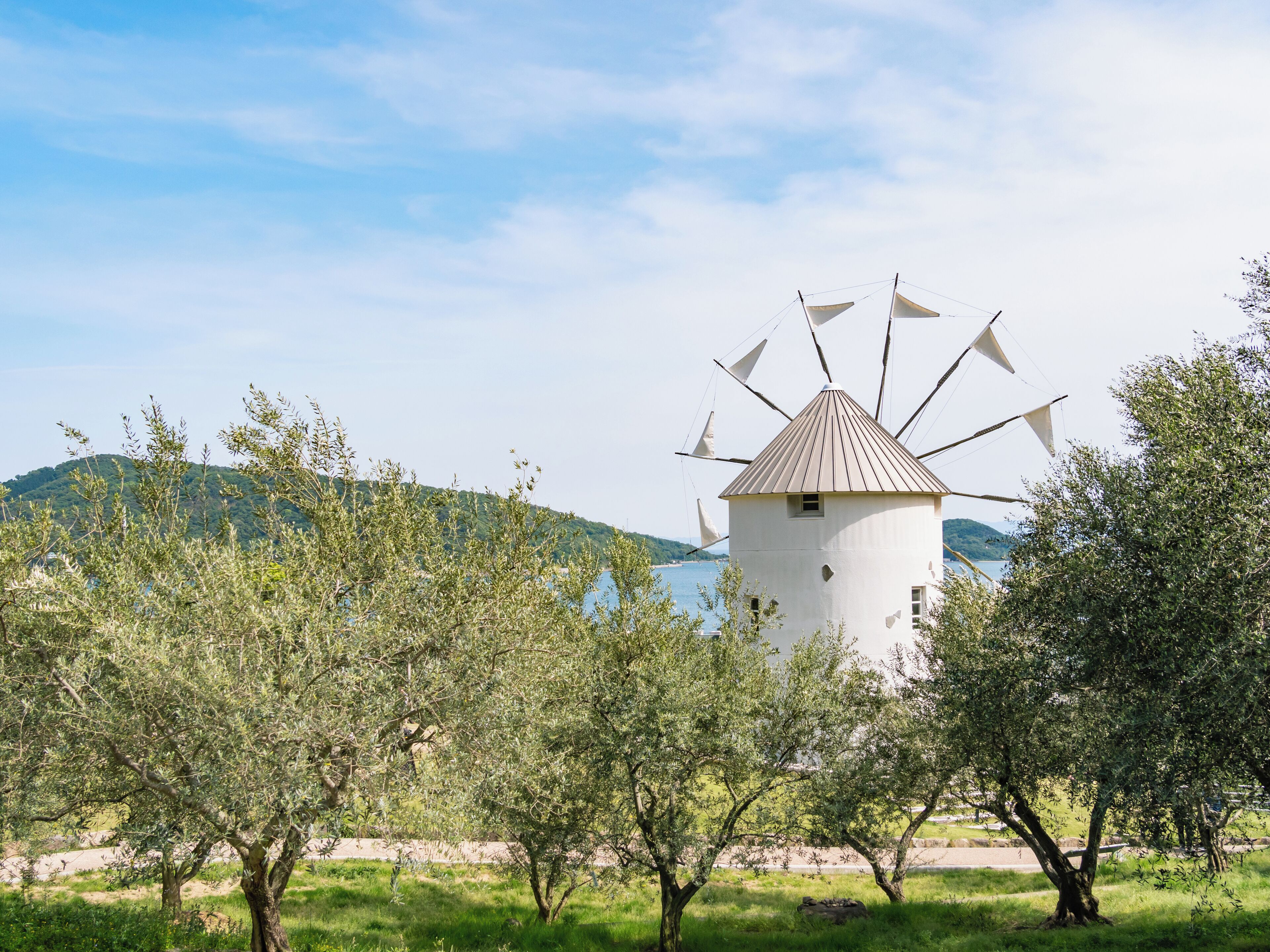A windmill surrounded by olive trees and a body of water in the background.