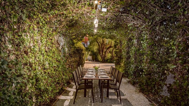 An outdoor dining area with a table set for four, surrounded by chairs, under a canopy of dense foliage.