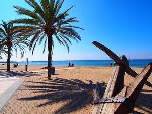Uma praia com palmeiras, cerca de madeira e céu azul límpido.