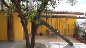 Un cortile con un albero, una scala e sedute all'aperto.