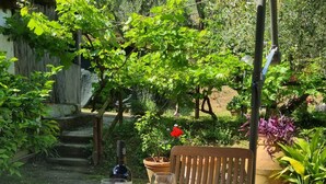 An outdoor table with a basket of fruit, a bottle of wine, and open books. - Apartment with view of the Tuscan coast and garden (Corsanico)