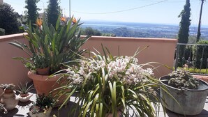 A rooftop garden with various potted plants and flowers, overlooking a scenic landscape. - Apartment with view of the Tuscan coast and garden (Corsanico)