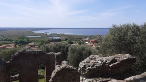 Eksteriør