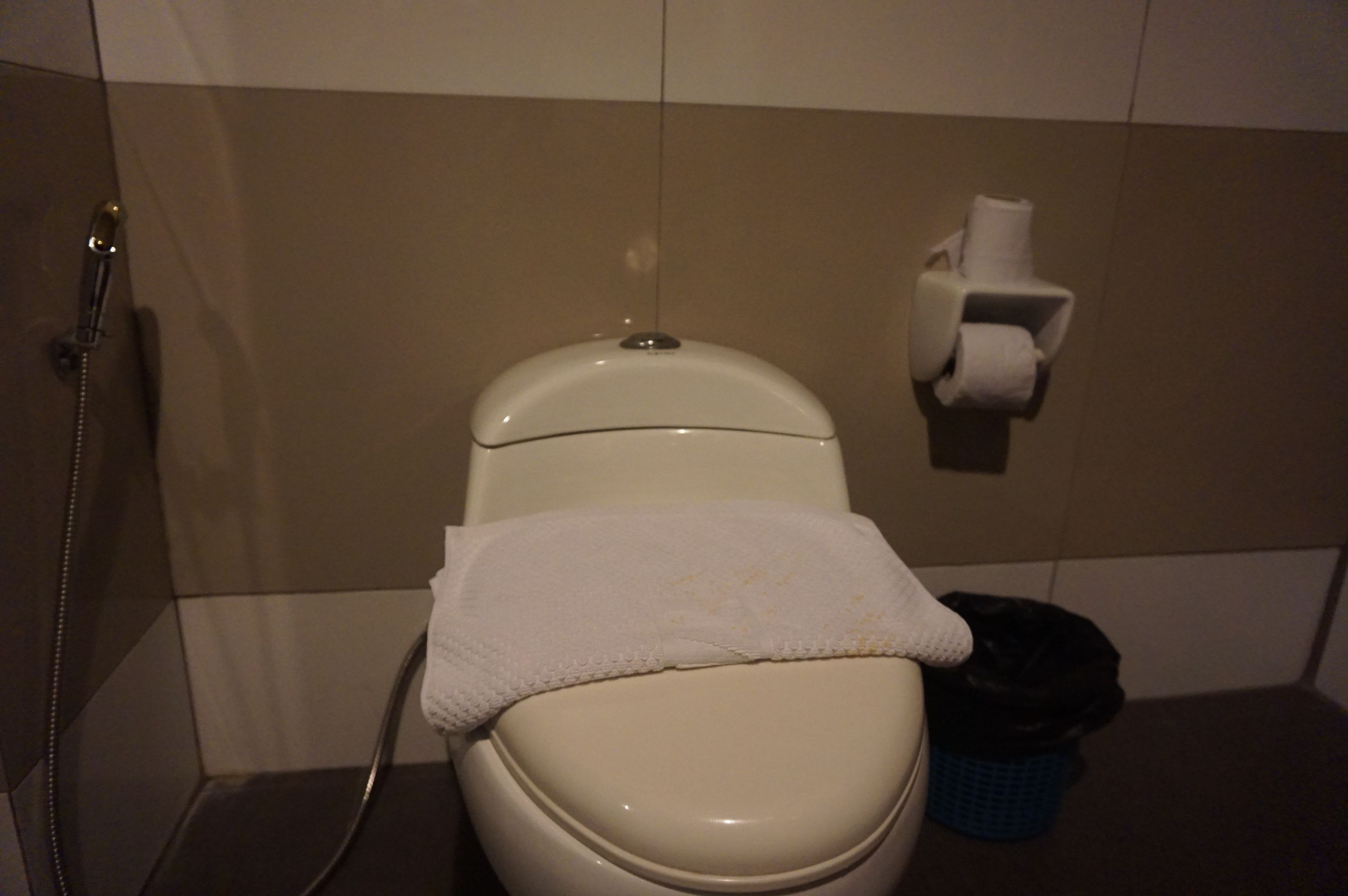 Sanitário com assento branco, dispensador de papel toalha e lixeira.