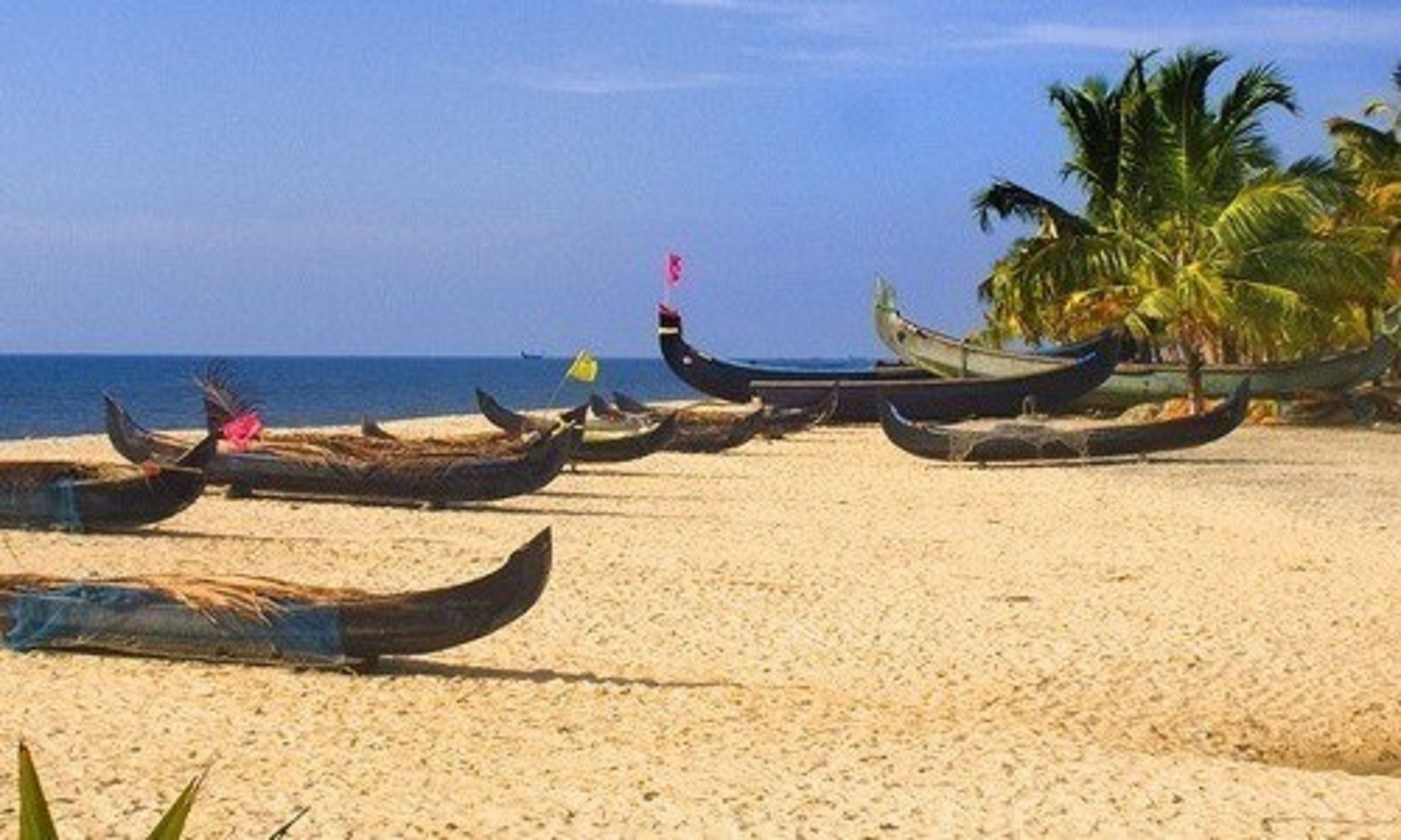 beach nearby, beach shuttle, beach umbrellas, beach towels