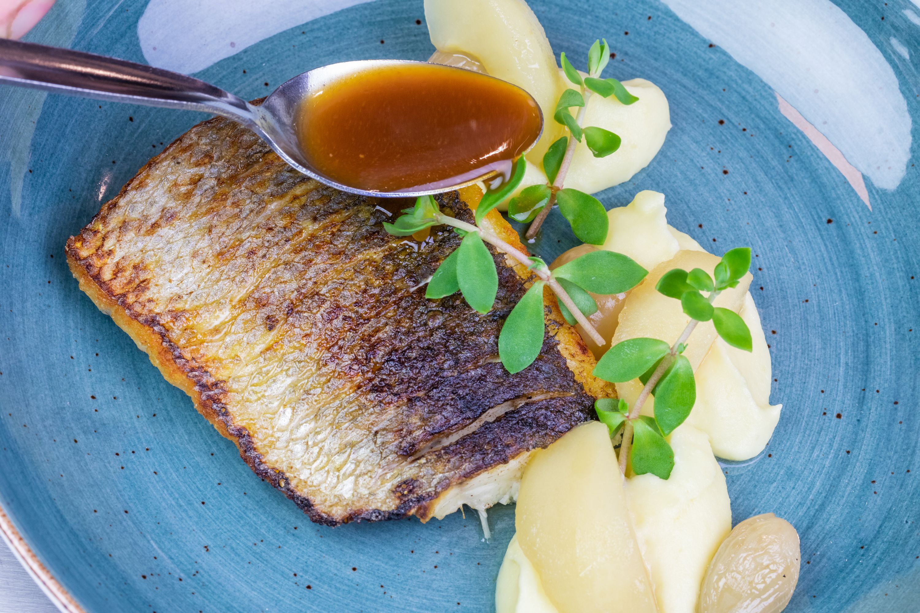 A plate with a piece of grilled fish, mashed potatoes, and a garnish of green leaves.