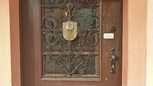 Eine braune Tür mit Glasfenster und einer Messingklopfer.