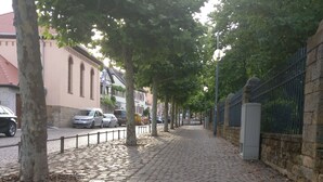 Ein Kopfsteinpflasterweg, gesäumt von Bäumen, mit einer Steinmauer zur einen Seite.