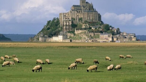 A castle on a hill with a field of sheep in the foreground.