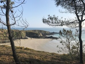 Playa
