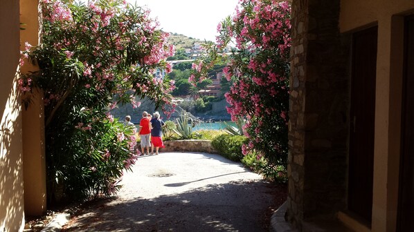 Property grounds - exceptional view of the sea terrace not overlooked sunny and quiet (Collioure)