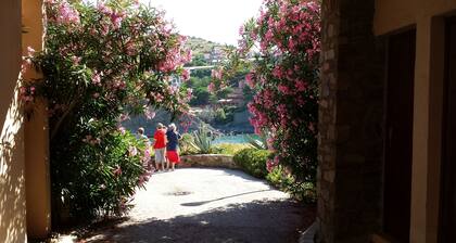 exceptionnel vue de la terrasse sur mer sans vis à vis ensoleillé et calme
