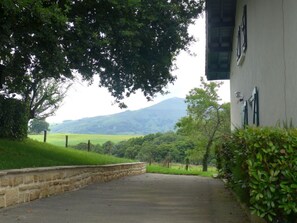 Property grounds - 4000 sq.m. house with trees. Hiking, fishing, lake, mountains. 5 km from St. Pée (St Pee sur Nivelle)