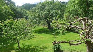 Overnatningsstedets område