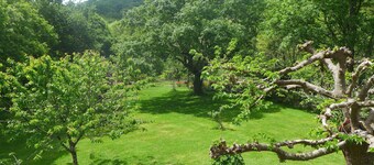 Casas de 4000 m² Con árboles, pesca, lago, montaña, St-Pee a 5 km, España, País 