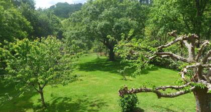 4000 sq.m. house with trees. Hiking, fishing, lake, mountains. 5 km from St. Pée