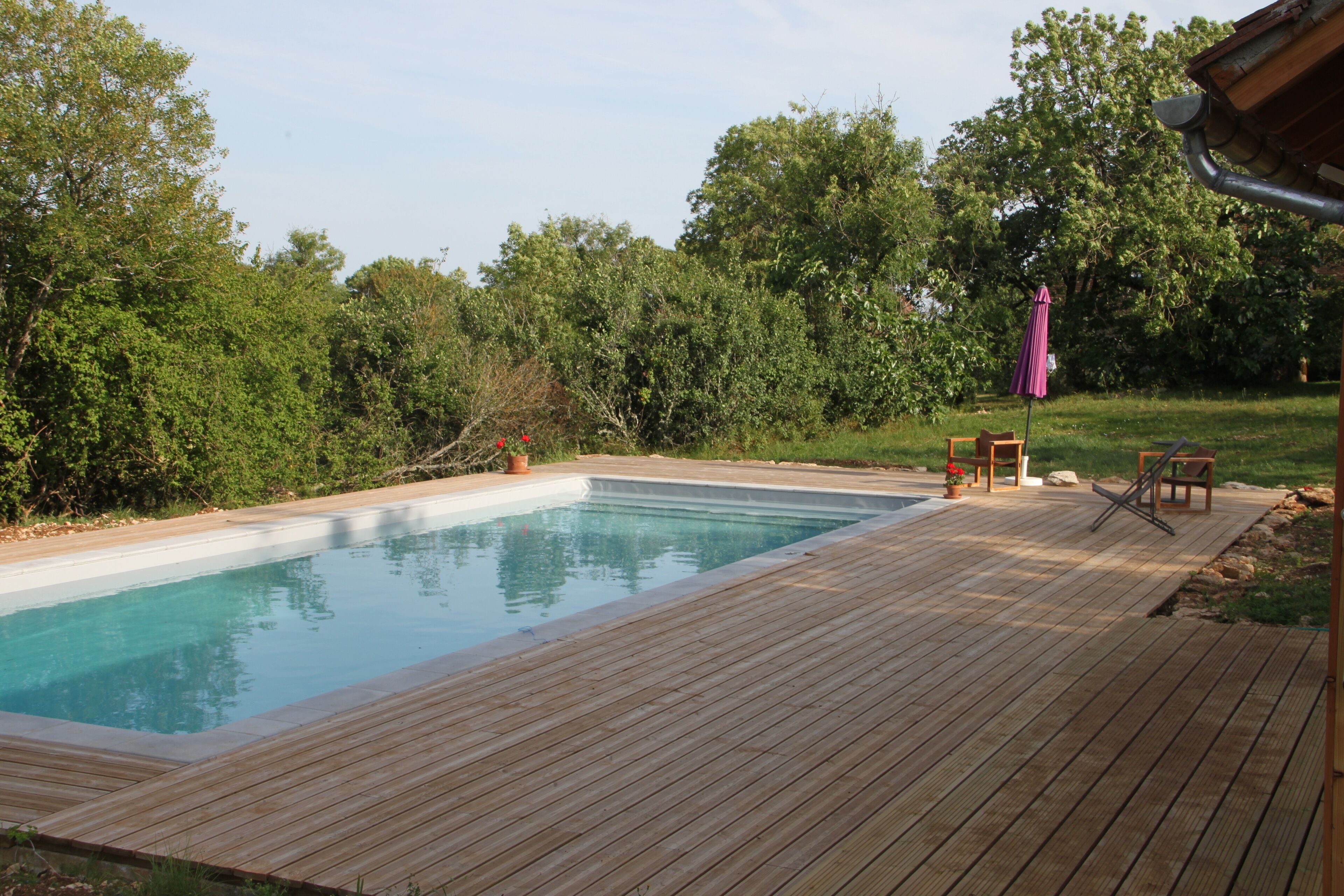 Una terrassa de fusta amb una piscina, envoltada de vegetació i arbres.