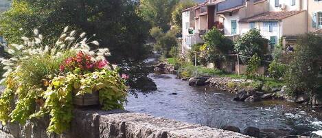 Overnatningsstedets område