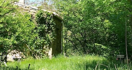 The little house under the trees