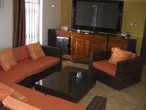 TV, DVD player, books, music library