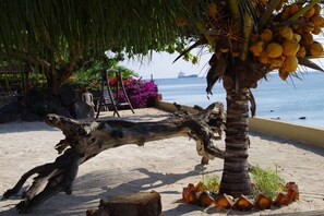 Une plage avec un grand morceau de bois flotté, un palmier chargé de noix de coco et une chaise placée sous un auvent.