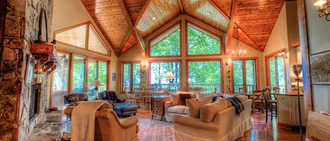 TV, fireplace, books