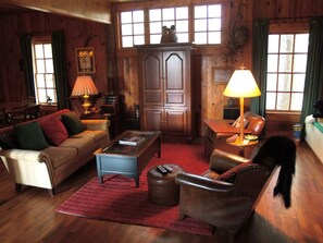 Smart TV, fireplace, video games, DVD player