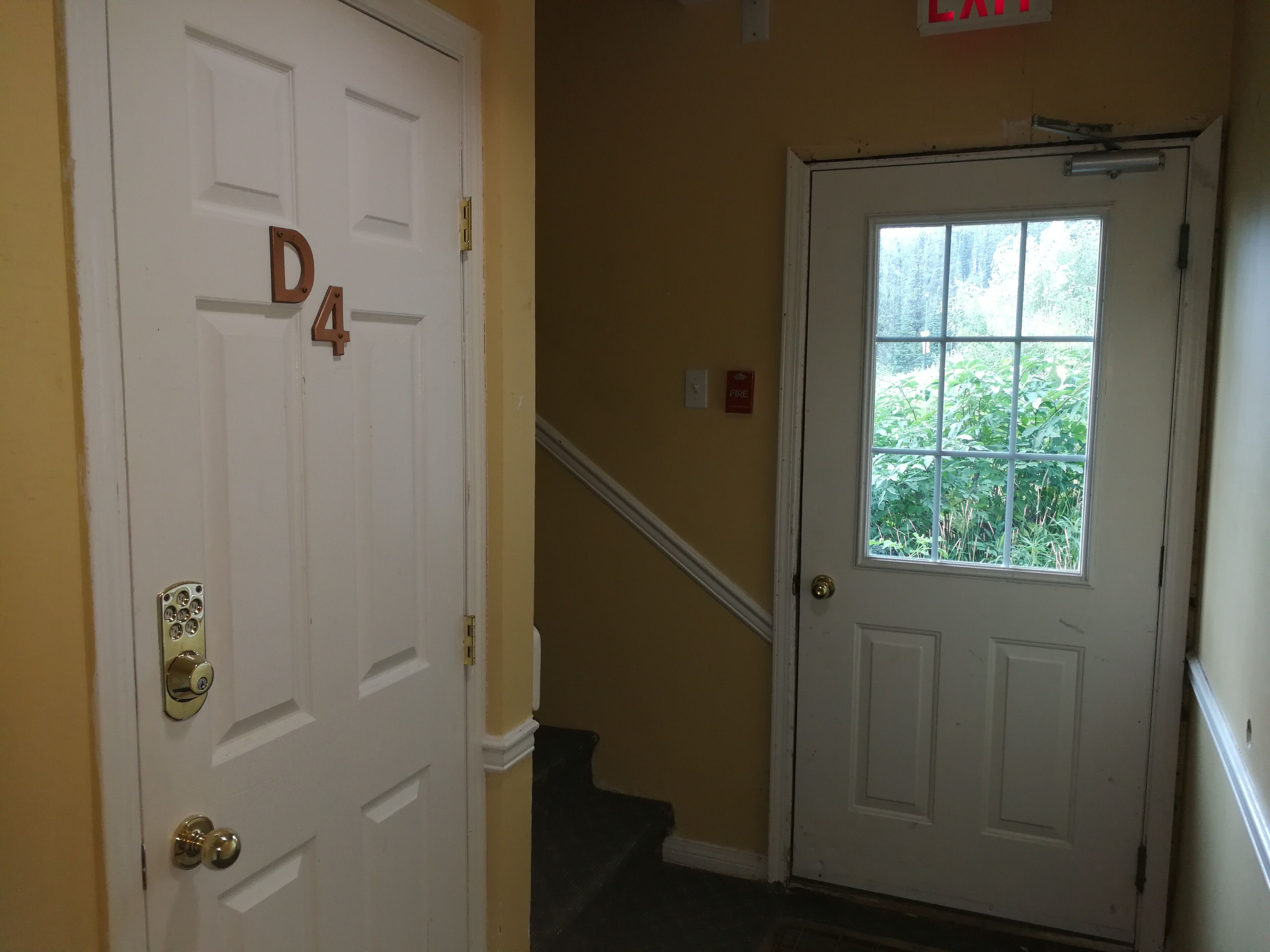 A white door with the number D4, a fire alarm sign, and a window with a view of greenery.