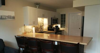 2 Bedroom Condo Ski in/Ski Out